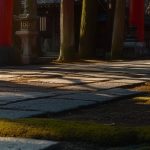初めての神社巡り：京都・奈良で感じる「聖域」の入り口ガイド